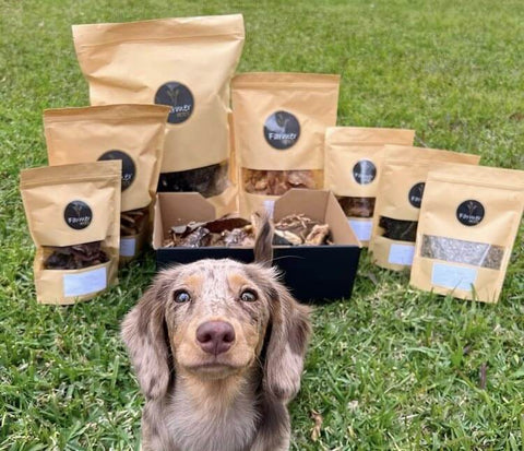 a puppy standing in front of Farmer Pete's selection of dried puppy training treats
