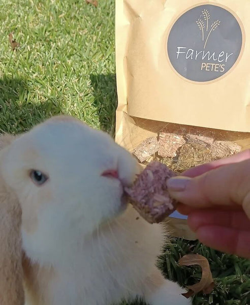 Rabbit not eating a Hay treat