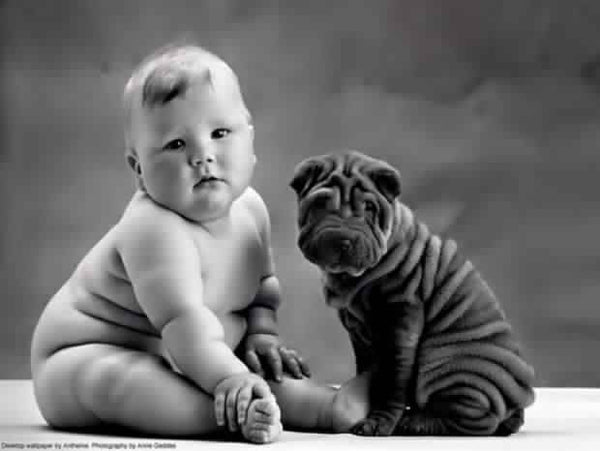 Baby with rolls (fat) besides a young dog with rolls in it's skin