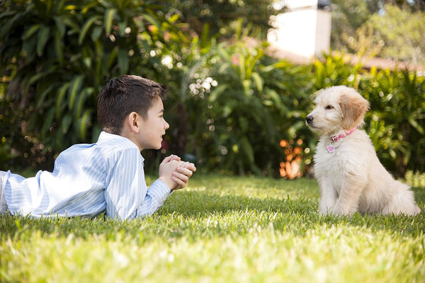 Yound boy talking to a puppy dog