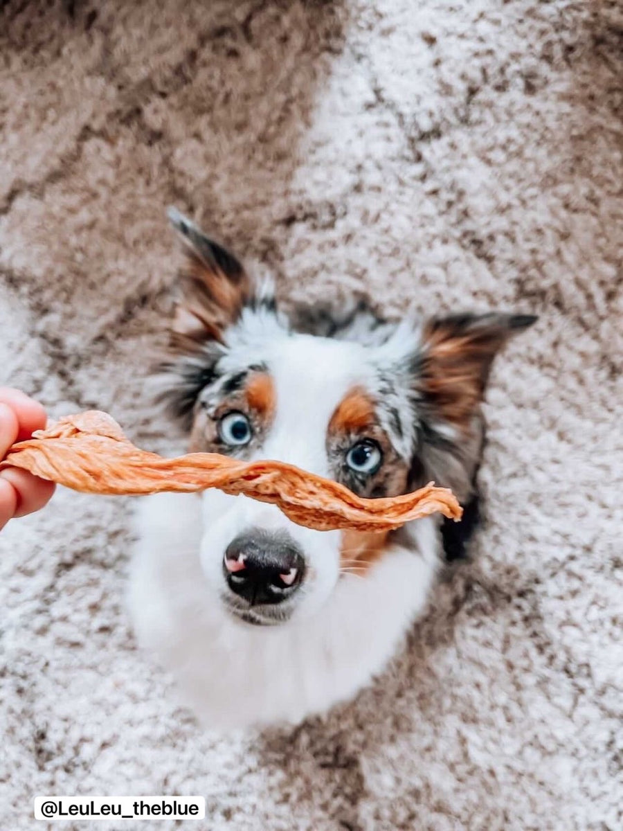 Chicken Breast Jerky