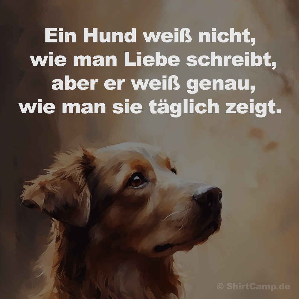 Ein Hund weiß nicht, wie man Liebe schreibt, aber er weiß genau, wie man sie täglich zeigt.