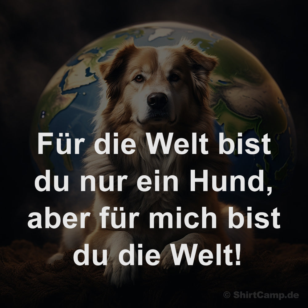 Liebeserklärung: Für die Welt bist du nur ein Hund, aber für mich bist du die Welt!