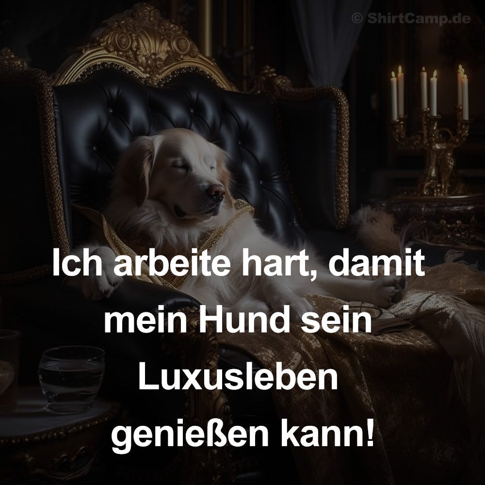 Ich arbeite hart, damit mein Hund sein Luxusleben genießen kann!