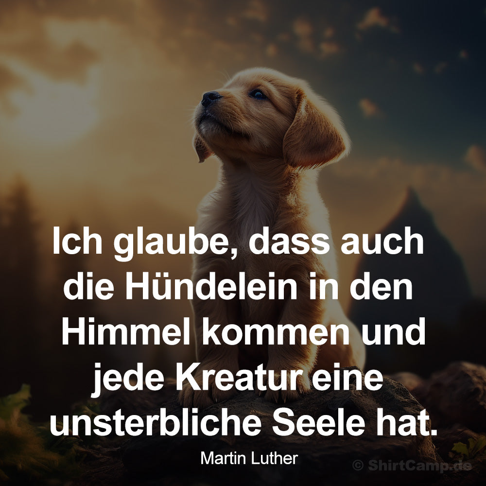 Ich glaube, dass auch die Hündelein in den Himmel kommen und jede Kreatur eine unsterbliche Seele hat. Martin Luther