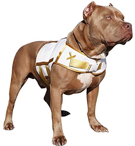 dog weight vest for muscle building