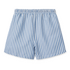 UPF40+ Badeshorts "Duke Board Shorts Y/D Stripe Riverside / Creme de la Creme"