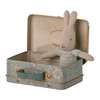 Mikro Kaninchen im Koffer - blau