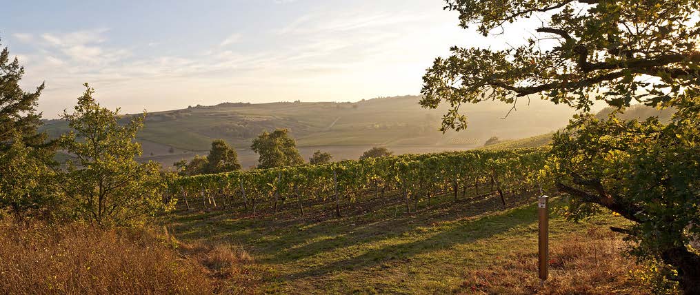 Rheinhessen, Germany