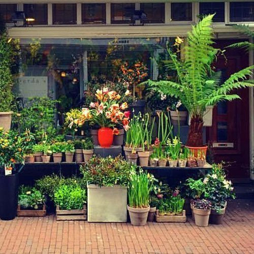 De layout Tomaat Overeenkomend Gerda's Bloemen Amsterdam – gerdasbloemen