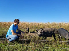 pasture pigs
