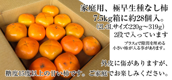 安い 和歌山県 九度山産 刀根早生柿 １０kg
