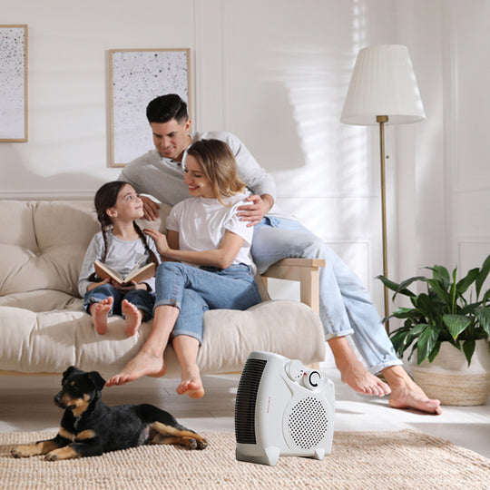 Portable Electric Fan Heater