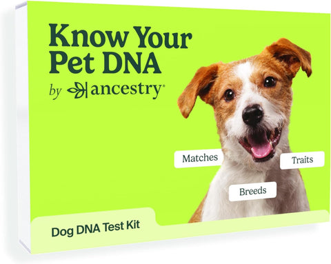 Dog DNA test
