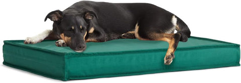 durable and tough dog bed - Barkbox