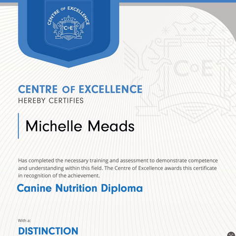 dog nutrition course certificate 