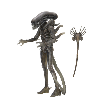 Alien 40th Anniversary Wave 4 – Ripley 7-Inch Scale Action Figure – Replay  Toys LLC