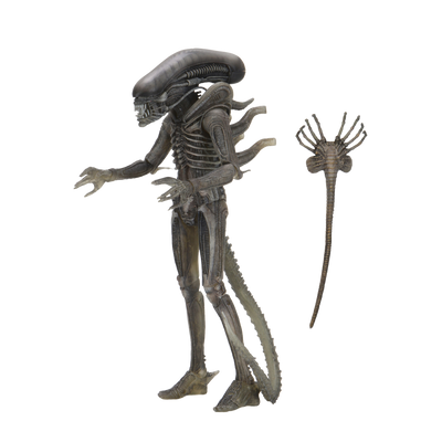 Alien 40th Anniversary Wave 4 – Ripley 7-Inch Scale Action Figure