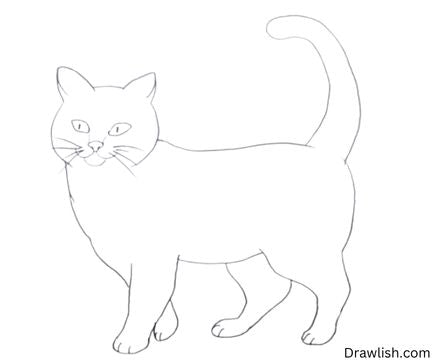 Draw The Full Cat With Claws