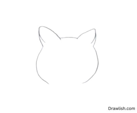 Draw A Head Of Cat