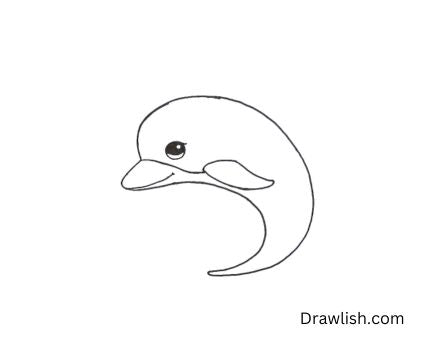 Sketch The Dolphin Shape