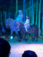 Two pony's at Gifford Circus 