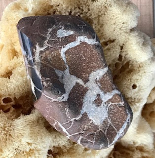 Michigan Lightning Stone, Septarian Nodule - Item #131 – My Lapidary