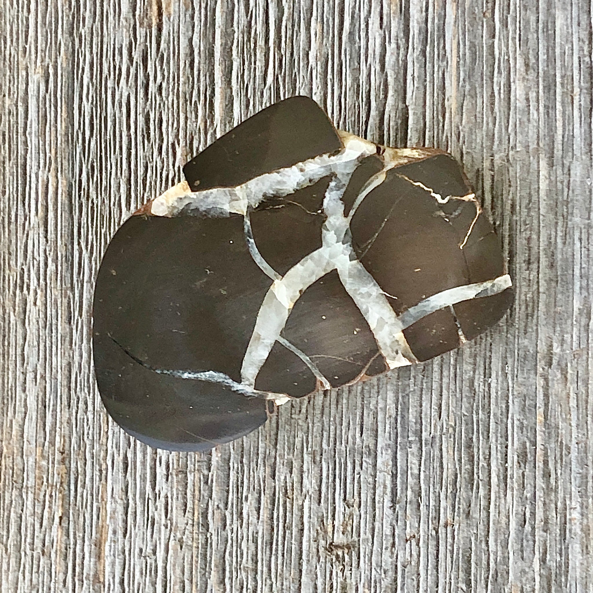 Michigan Lightning Stone, Septarian Nodule - Item #163 – My Lapidary