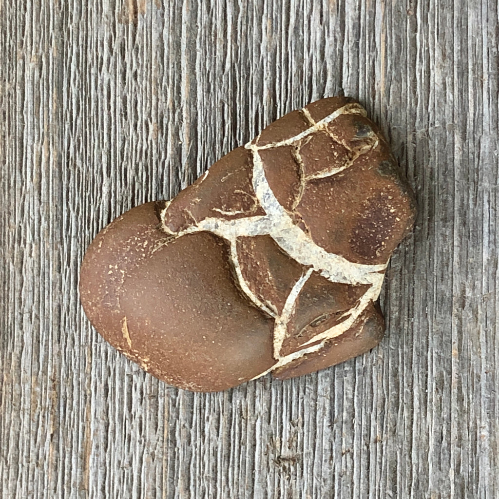 Michigan Lightning Stone, Septarian Nodule - Item #163 – My Lapidary