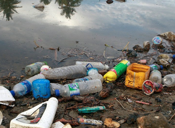 Plastic waste on shoreline