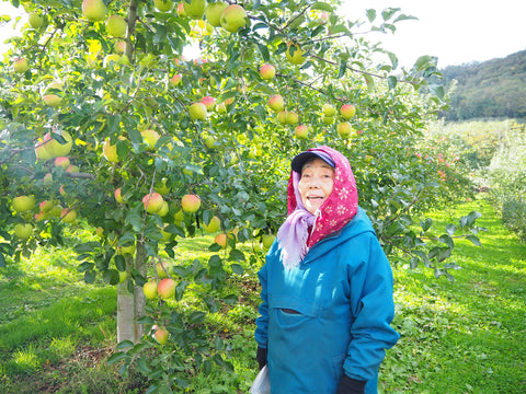 りんごの木の隣に立つ青い服のまるまったファーム宮野秀子さんの写真