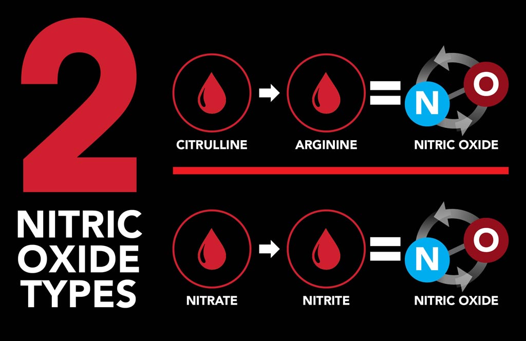 Nitric Oxide Types