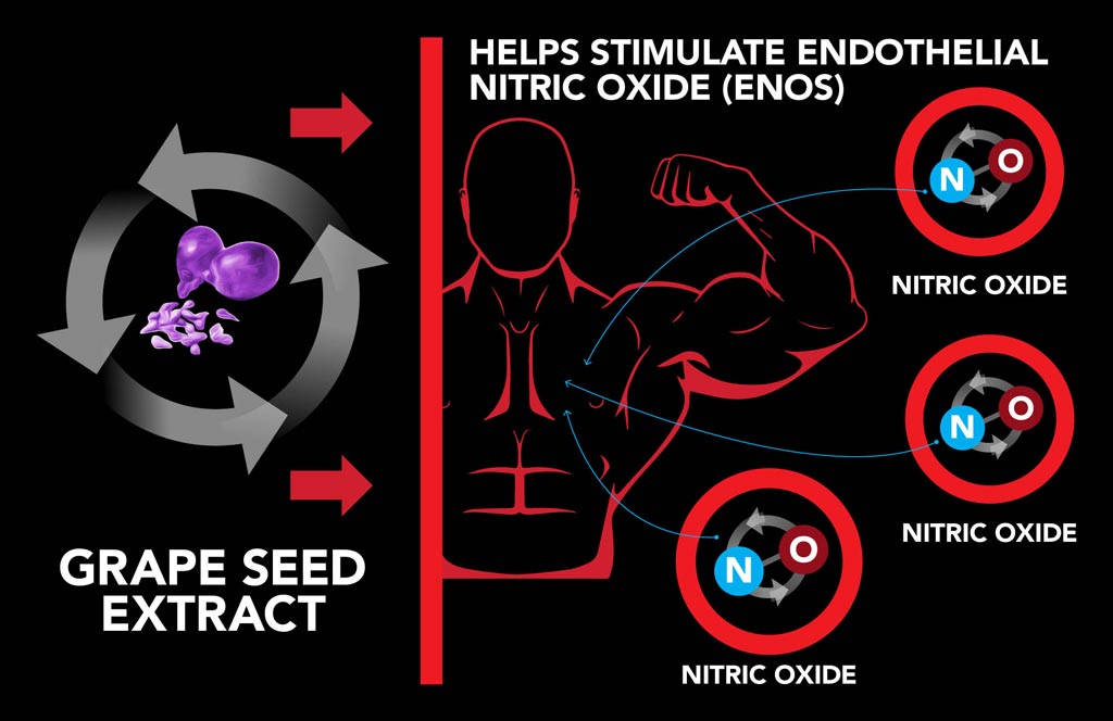 Grape seed extract