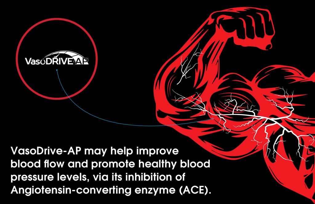 VasoDrive-AP Description