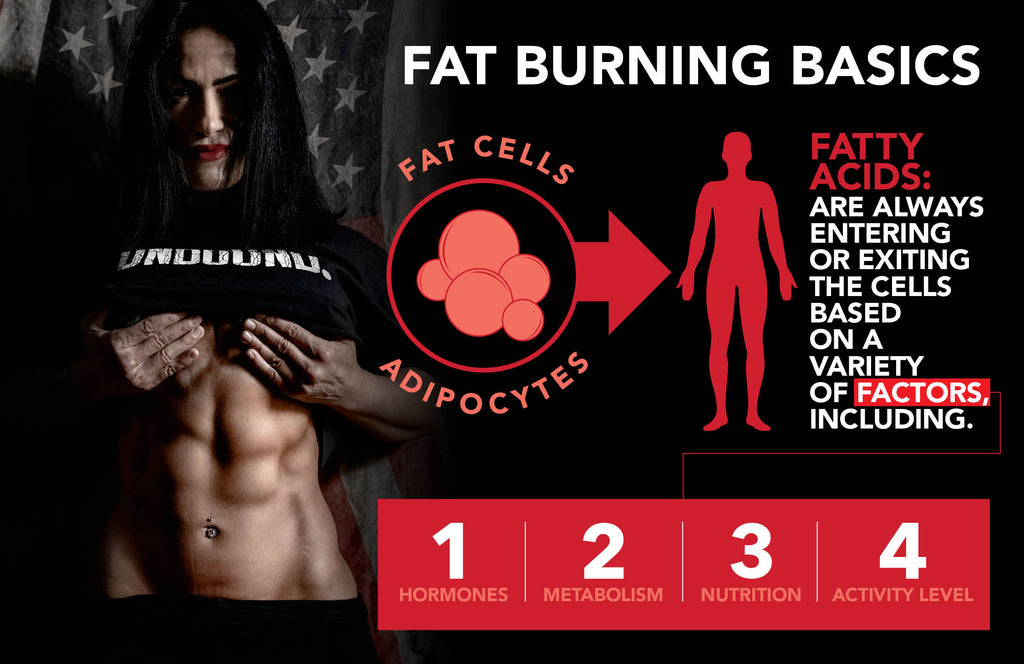 UNLOCK Rapid Fat Loss