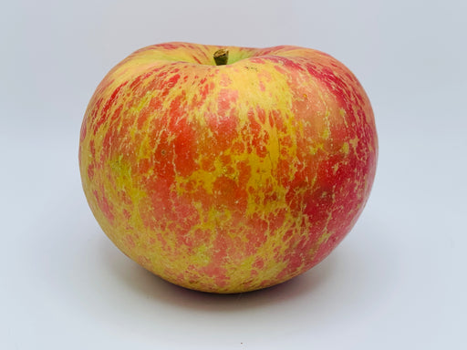 Honey Gold Apples - Taste, recipes and more — Minnetonka Orchard