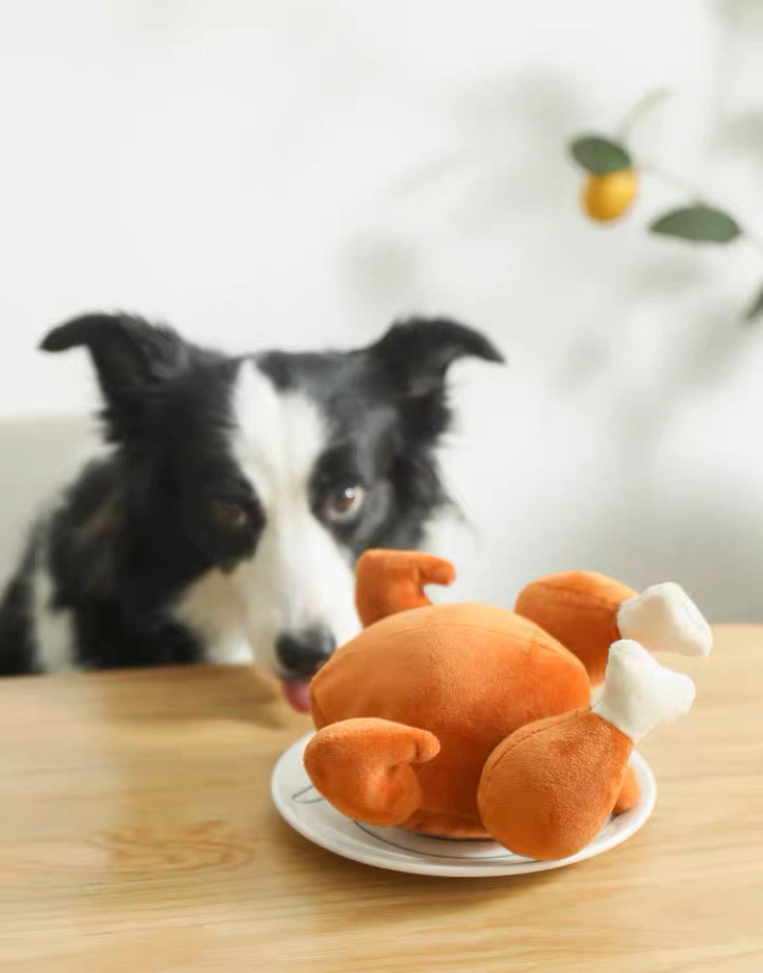 a hamburger that looks like a dog