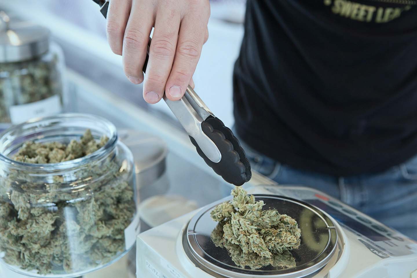 Person weighs out cannabis on scale using tongs with jars of cannabis in the background