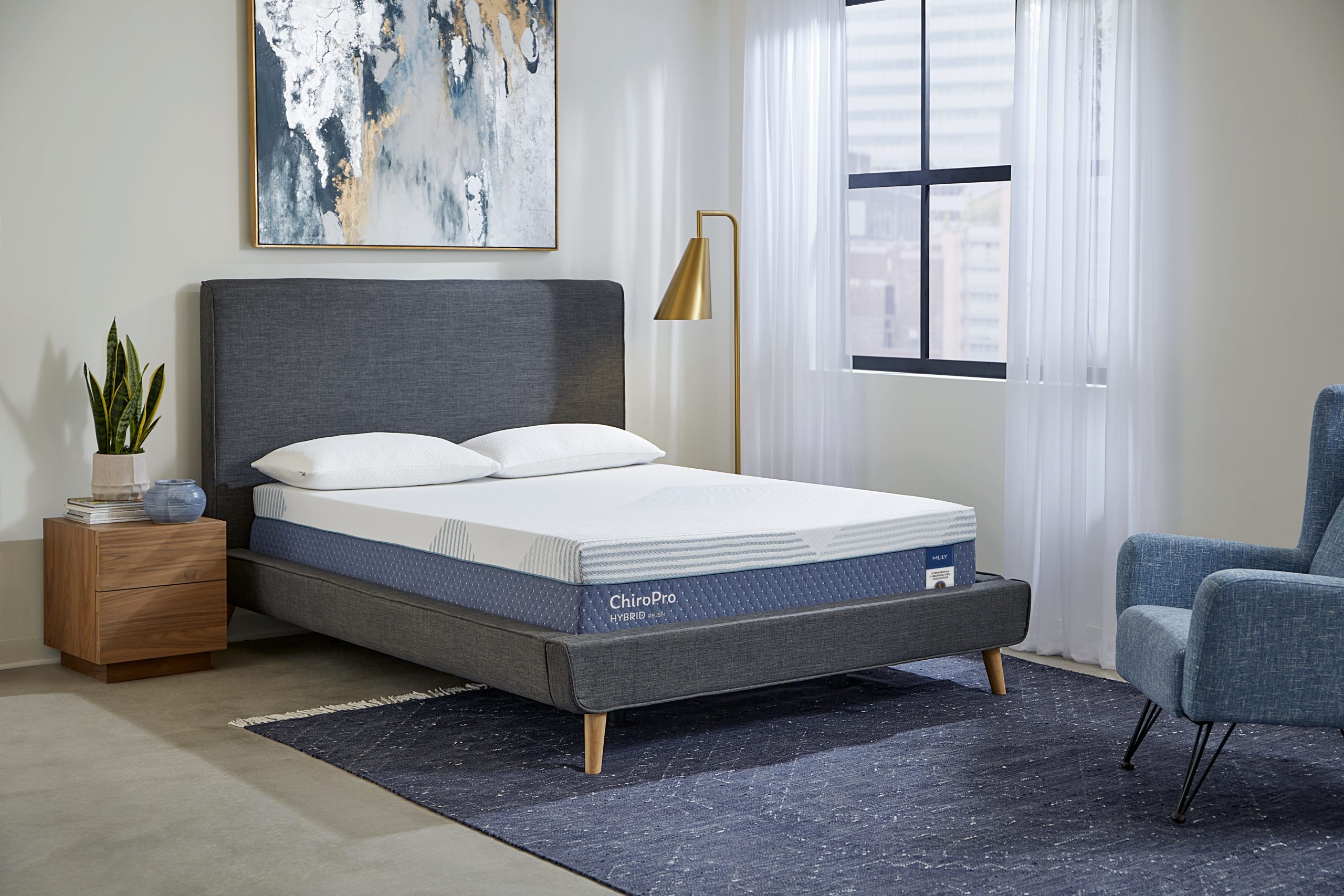 ChiroPro Plush Mattress
