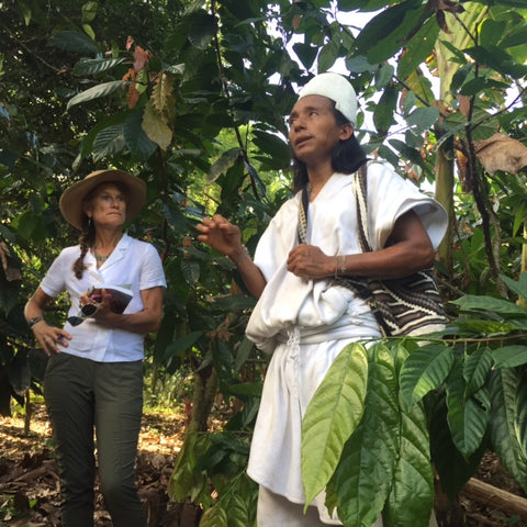 Arhuaco elder giving a tour of cacao farm