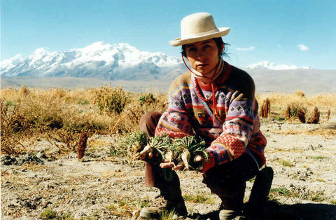 Maca Root Farmer in Peru - Fair Trade Ingredients Used in Making Organic Chocolate