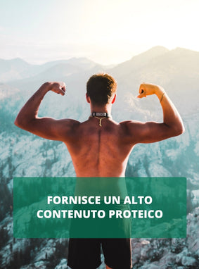 La spirulina fornisce un alto contenuto proteico