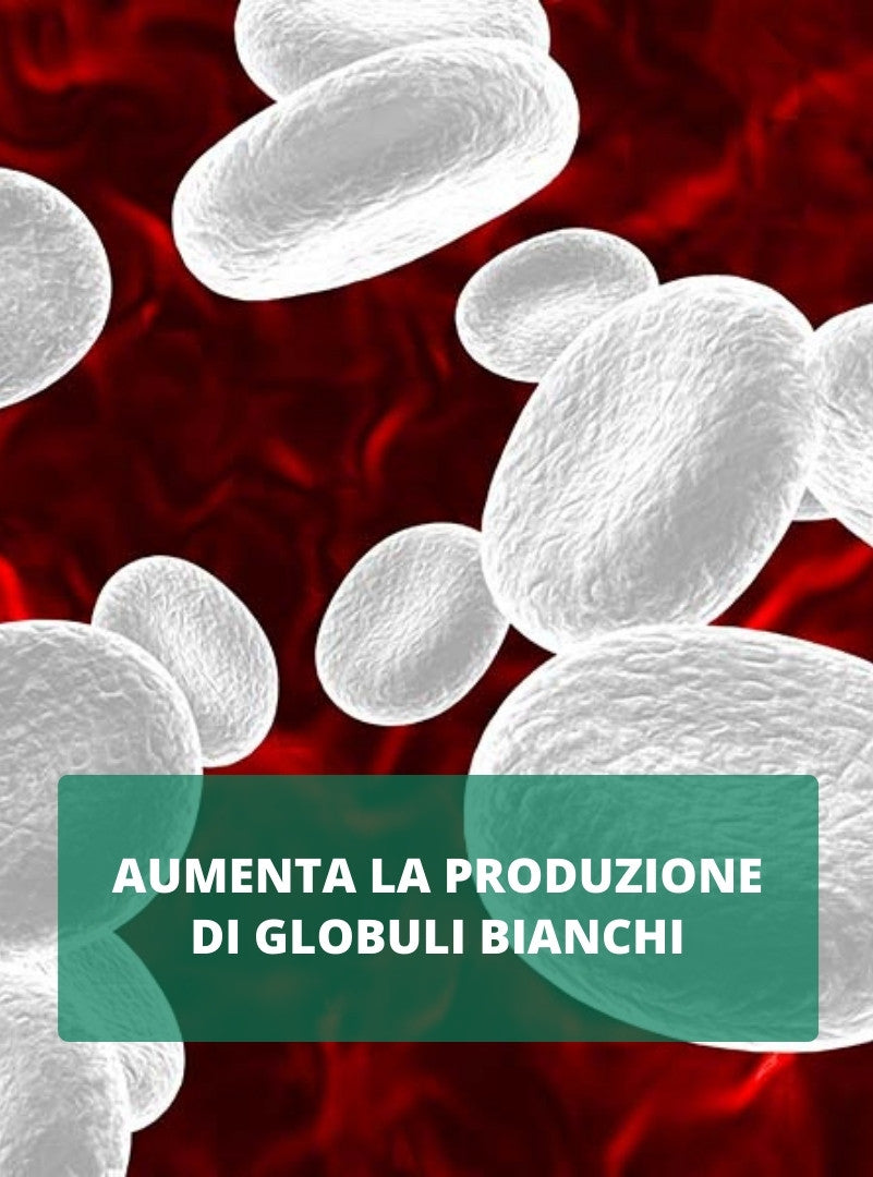 La spirulina Migliora le performance sportive e lavorative