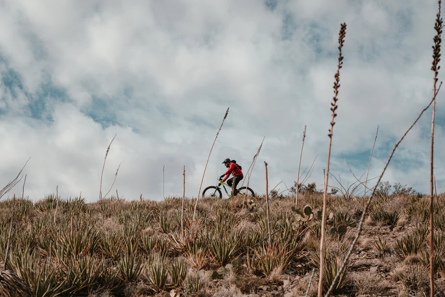 Mountain bike rider in scrubland