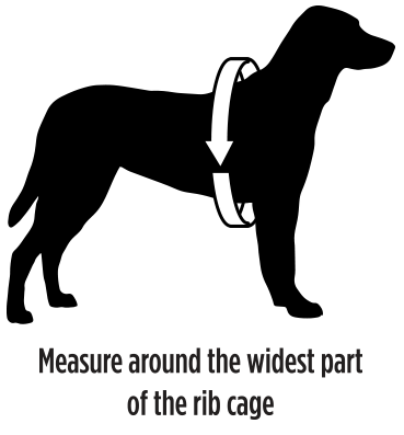 SIZE GUIDE - For chest size, measure dogs around widest part of rib cage
