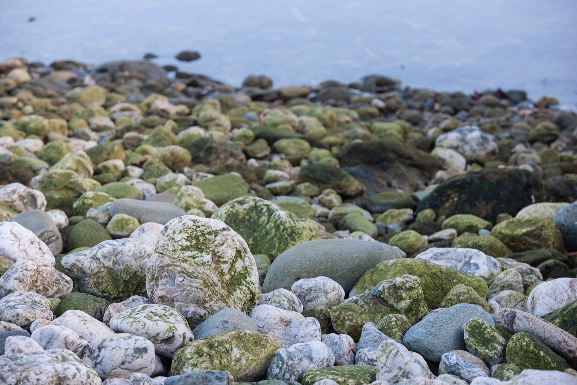 The shore at Hoswick, Shetland - Ebb stanes are revealed by the receding tide