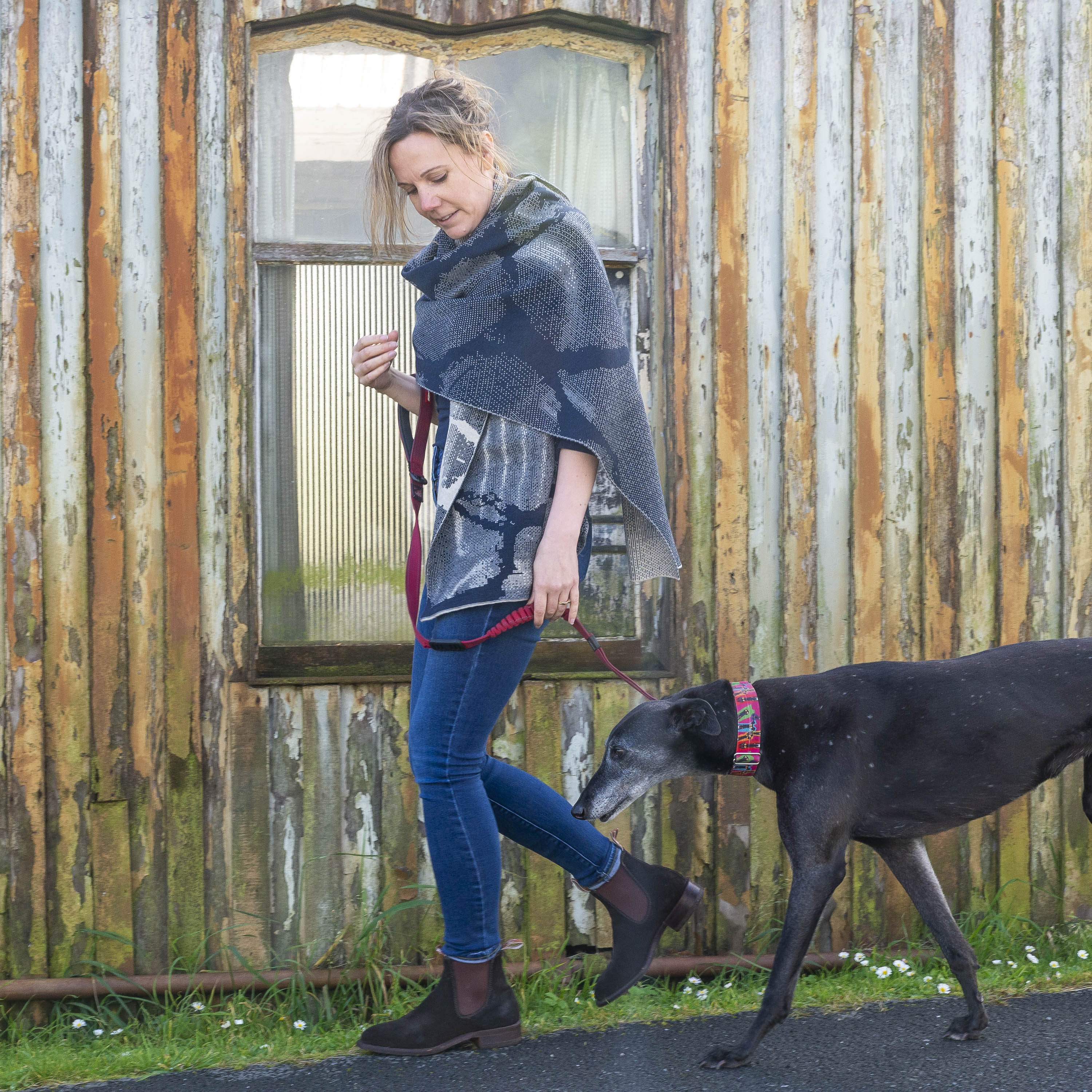 A white woman with fair hair tied back walks with her black greyhound outside the old Gospel Hall. Hoswick. She is wearing a contemporary shawl, in navy and off white, wrapped around her shoulders. She also wears a blue long sleeve t shirt, blue jeans and brown suede dealer boots.