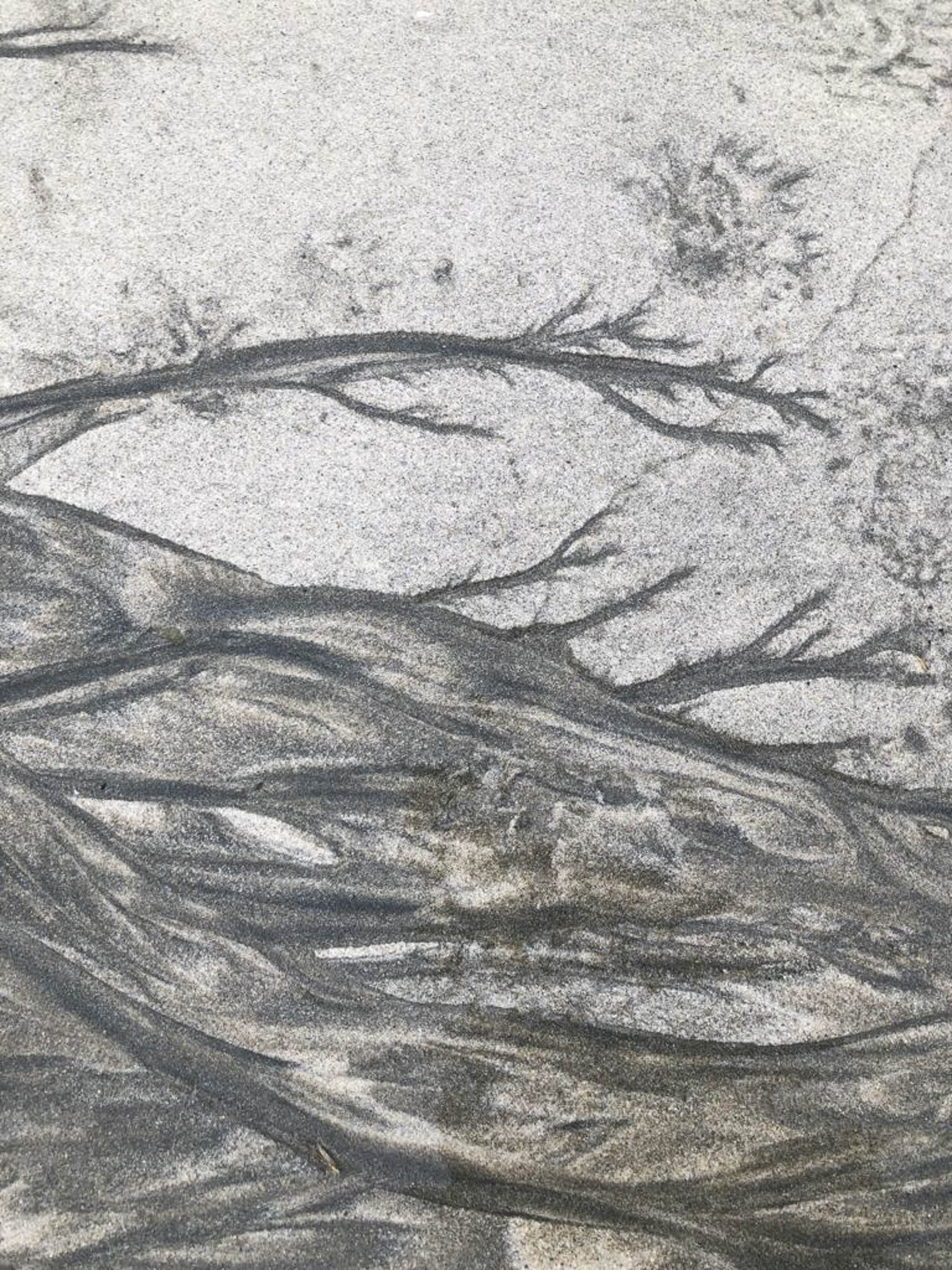 Rivulets on silver sand leave wispy marks and flowing lines