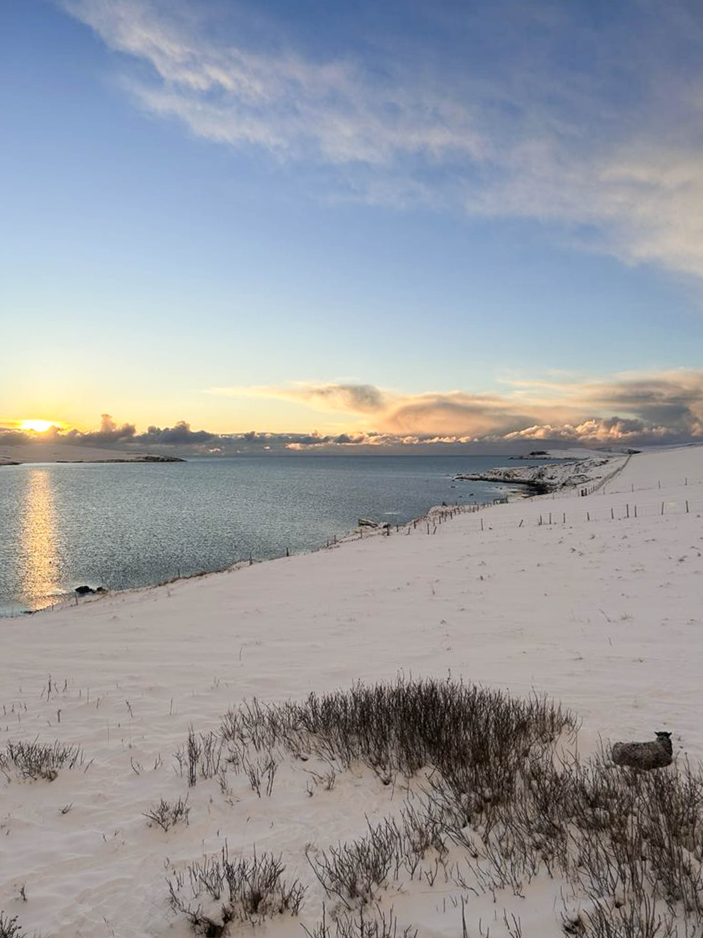 Early morning, wintery Shetland scene at Hoswick. Snow covered fields and low yellow, copper winter sun.