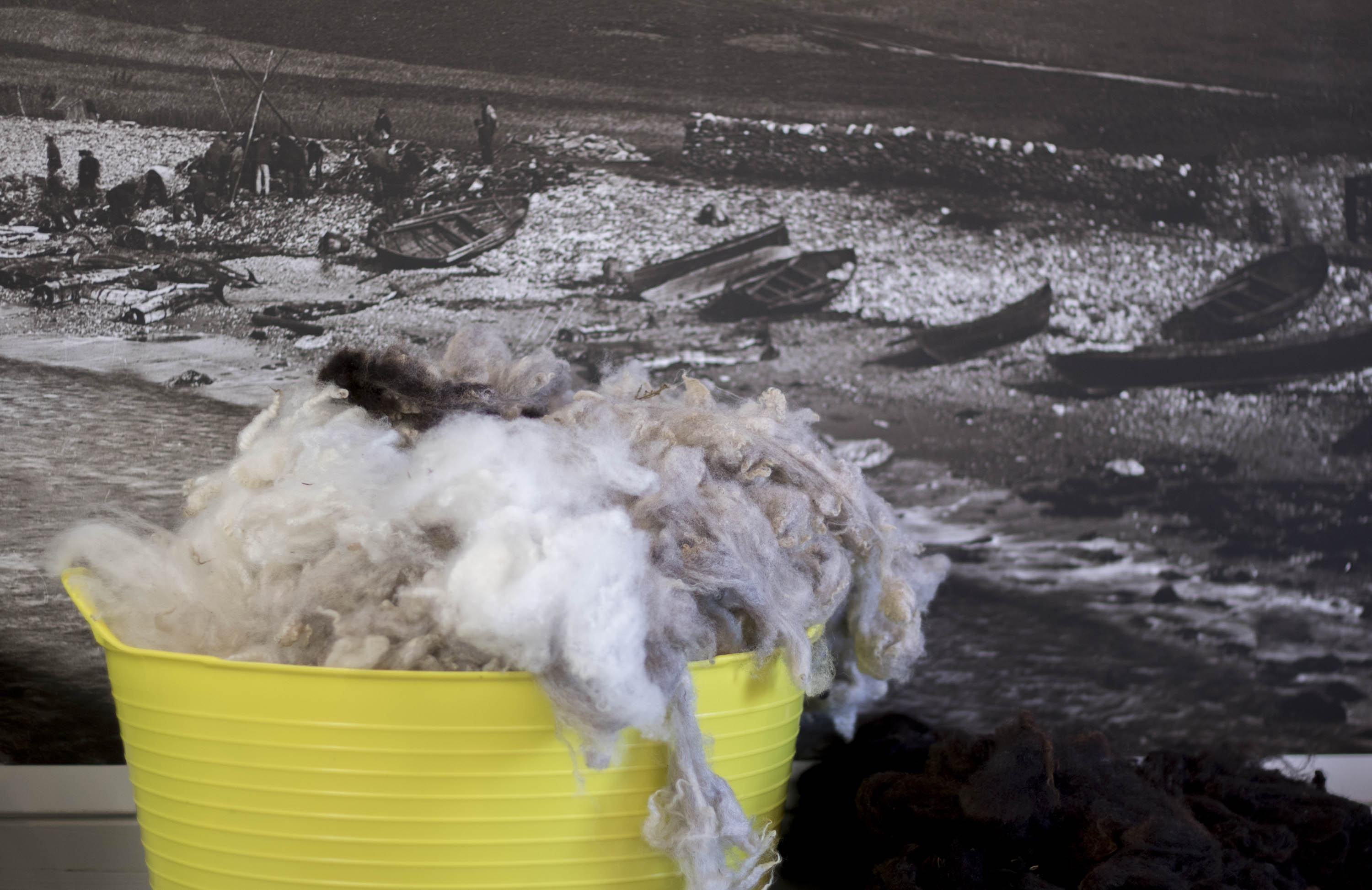 Yellow tub trug full of Shetland, undyed fleece in Hoswick in natural greys. Behind is a display at the Hoswick Visitor Centre with a photograph of the Whale Caa